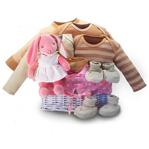 Organic Baby Gift Basket -  Bunny Dreams