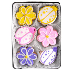 Organic Cookies Gift Set - Ladybugs