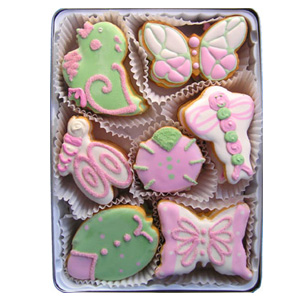 Organic Cookies Gift Set - Winged Wonders