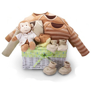 Organic Baby Gift Basket -  Monkey Business