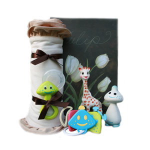 Organic Baby Gift Box - Little Teethers Organic Baby Gift Box